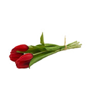 5 stk. røde tulipaner, 32 cm