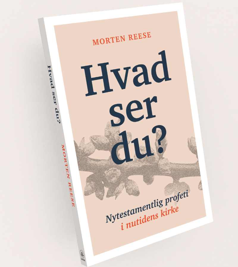 Hvad ser du? af Morten Reese