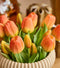 Orange Tulipaner, Bundt/5 stk. 32 cm