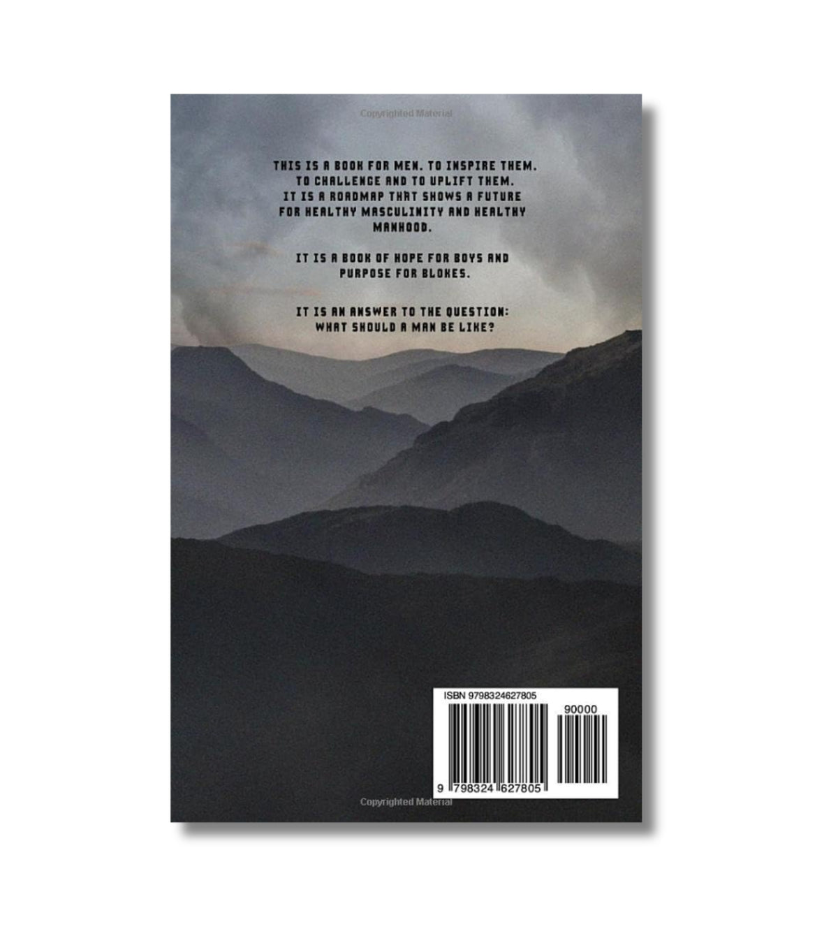 Responsibility: Becoming the Authentic Man af James Ray og Myles Dhillon